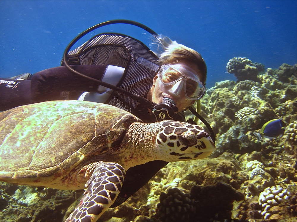 content/hotel/Vakarufalhi Island Resort/Szórakozás/Vakarufalhi-Diving-01.jpg